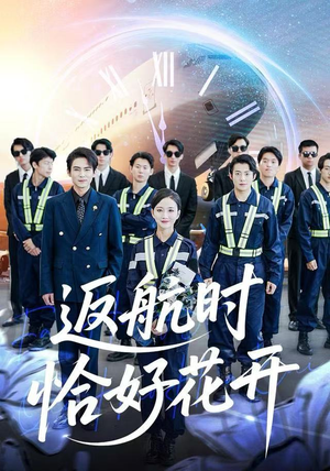 返航时恰好花开（101集）免费看全集