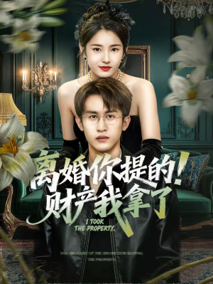 离婚你提的！财产我拿了（63集）剧情简介