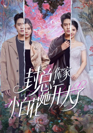 大佬你的牙粘口红了（60集）怎么看全集