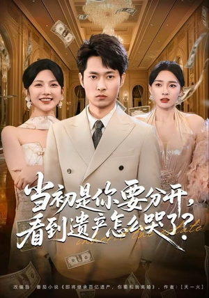 当初是你要分开，看到遗产怎么哭了？（70集）火爆短剧来袭