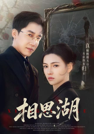 相思湖（66集）全集一网打尽