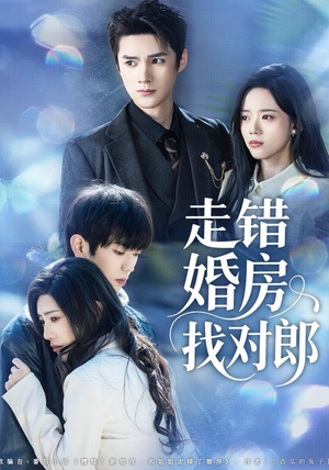 走错婚房找对郎（50集）全集完整版