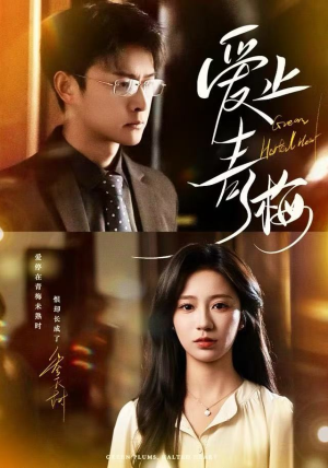 爱止青梅（60集）迅雷网盘观看