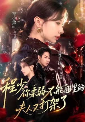程少你柔弱不能自理的夫人又打架了（60集）高分推荐免费看