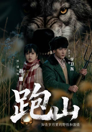 跑山：知青岁月里的野性和激情（83集）真的好看吗