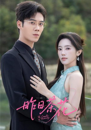 昨日茶花（56集）短剧热门合集