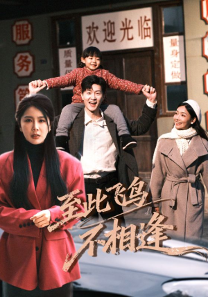 至此飞鸟不相逢（70集）短剧太上头了