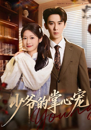 少爷的掌心宠（80集）全集一次看完