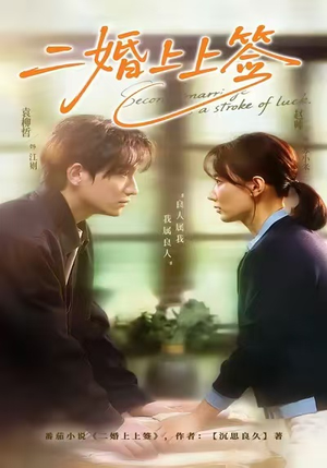 二婚上上签（71集）免费看短剧全集