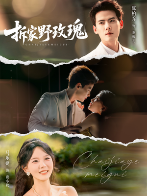 拆家野玫瑰（80集）在线观看完整版