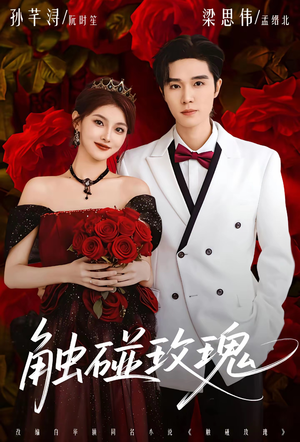 触碰玫瑰（80集）短剧太上头了