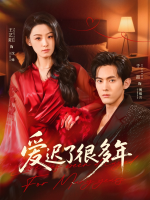爱迟了很多年（73集）第二季