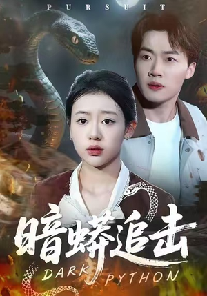 暗蟒追击（35集）在哪里看