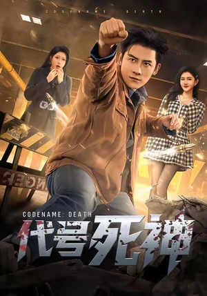 代号死神（74集）看到了大结局