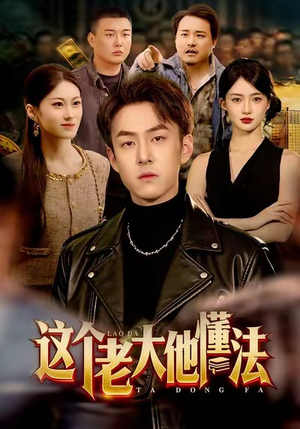 这个老大他懂法（100集）口碑之选免费看