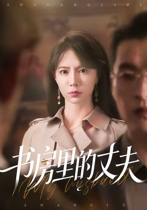 书房里的丈夫（100集）全剧免费观看