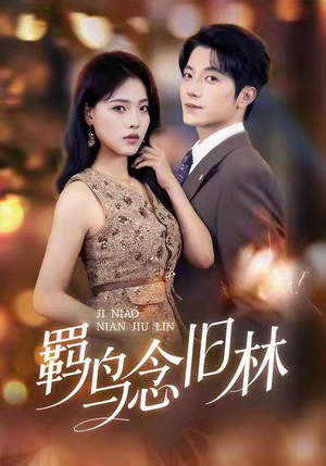 羁鸟念旧林（60集）短剧精彩推荐