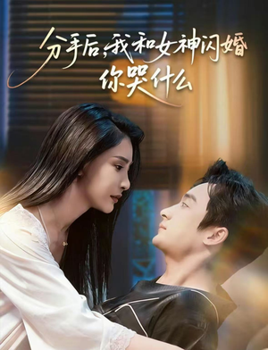 悲欢离合总无情（80集）热门短剧推广