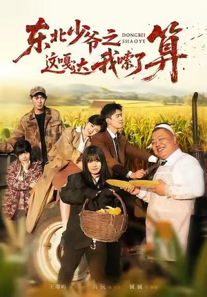 东北少爷之这嘎达我嗦了算（46集）短剧追不停