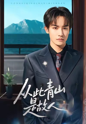 从此青山是故人（76集）80到100集