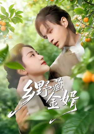 乡野藏金婿（50集）精彩短剧追不停