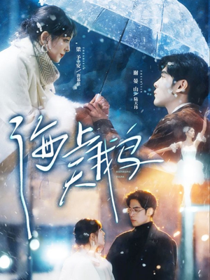 海上天鹅（70集）一起追生活短剧