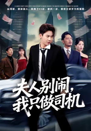 夫人别闹我只做司机（80集）在线看到大结局