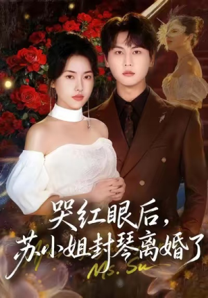 哭红眼后，苏小姐封琴离婚了（57集）全集完整版