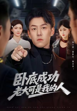 卧底成功老大可是我的人（99集）360网盘观看