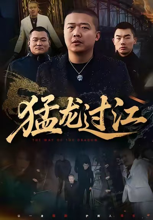 猛龙过江（60集）免费在线看