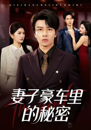 妻子豪车里的秘密（54集）好看的短剧分享