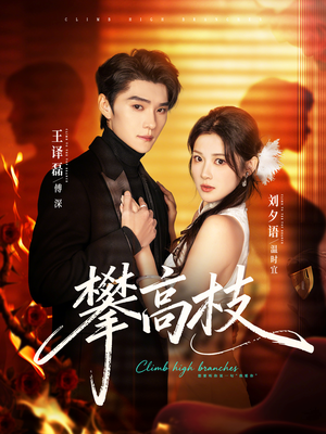 攀高枝（70集）精彩好看的短剧