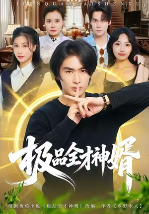 极品全才神婿（67集）我全都看完了