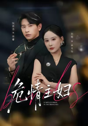 危情主妇（60集）看过的人都说好