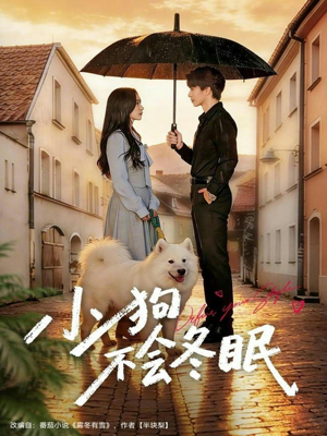 小狗不会冬眠（70集）免费观看