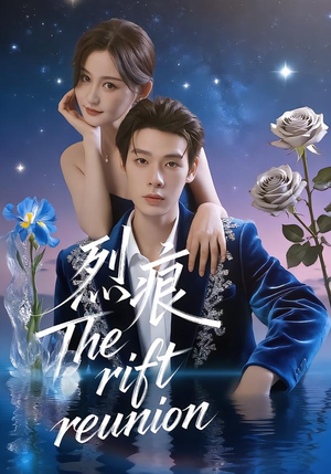 烈痕（35集）演员表