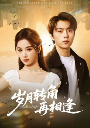 岁月转角再相逢（80集）精彩短剧免费看