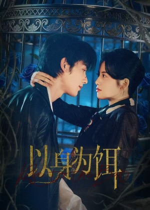 以身为饵（61集）无需充值尽情看