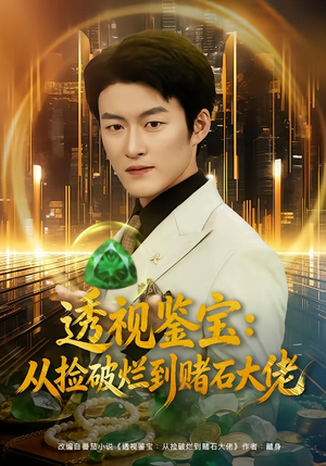 透视鉴宝：从捡破烂到赌石大佬（80集）一口气看完全集