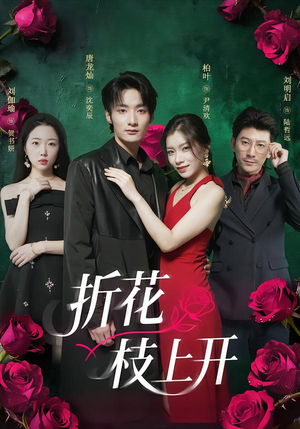 折花枝上开（51集）精彩短剧天天看