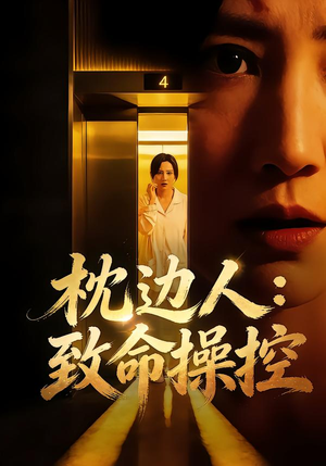 枕边人：致命操控（48集）第一季