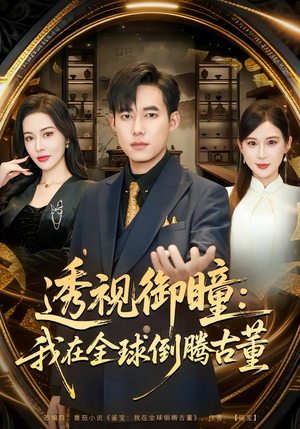 透视御瞳：我在全球倒腾古董（80集）在线看完整版