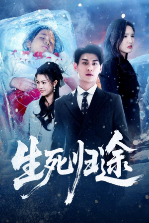 生死归途（50集）一口气追完短剧