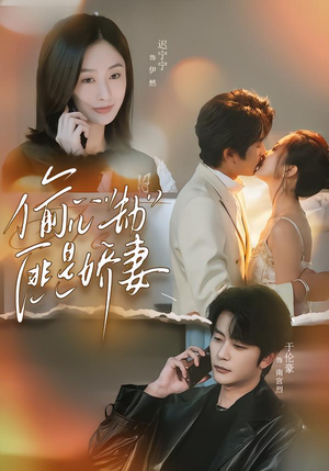 偷心劫匪是娇妻（61集）古装短剧推荐