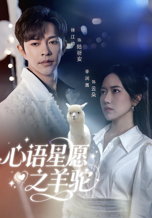 心语星愿之羊驼（60集）在哪个平台能看
