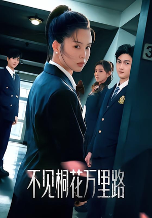 不见桐花万里路（71集）看到大结局