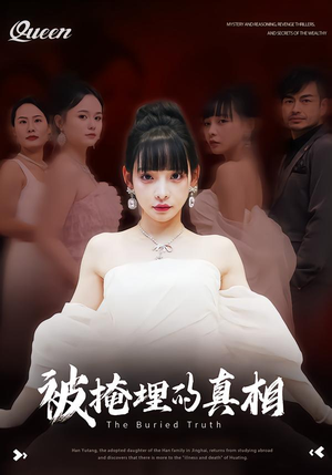 被掩埋的真相（30集）免费看