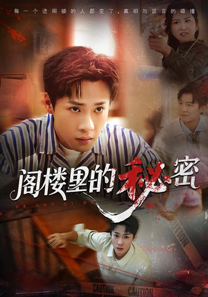 阁楼里的秘密(76集) 阁楼里的秘密(76集)古装短剧热播