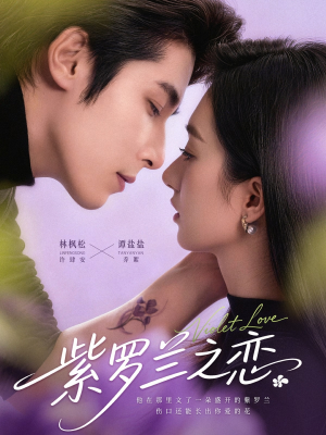 紫罗兰之恋（82集）不用花钱看全剧