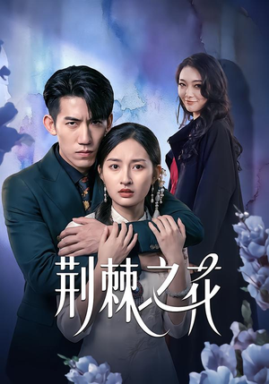 荆棘之花（100集）短剧演员排行榜